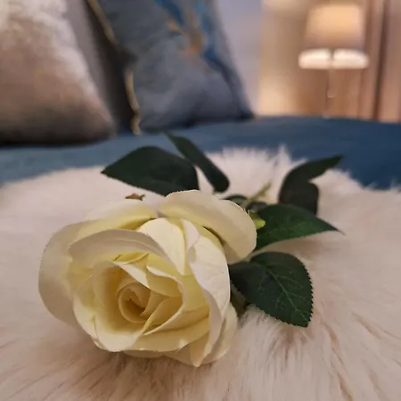Albina Apartament