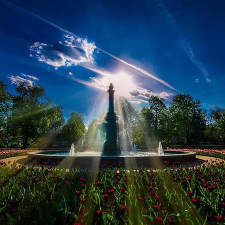 Albina Lägenhet Eger