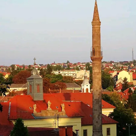 Apartment Albina *