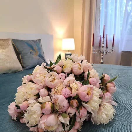 Apartment Albina