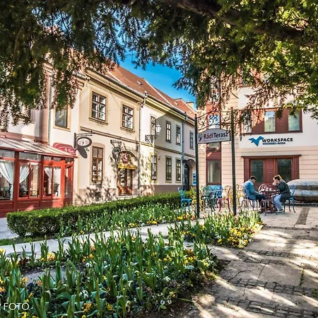 Apartment Albina *